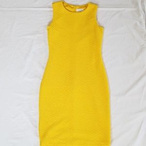 Calvin Klein Dress